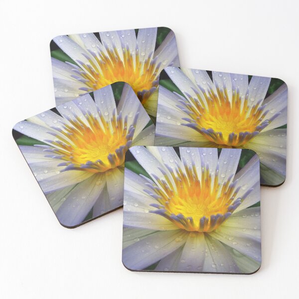 Item preview, Water Lillies & Lotuses #04 designed and sold by Jeffrey Mask.