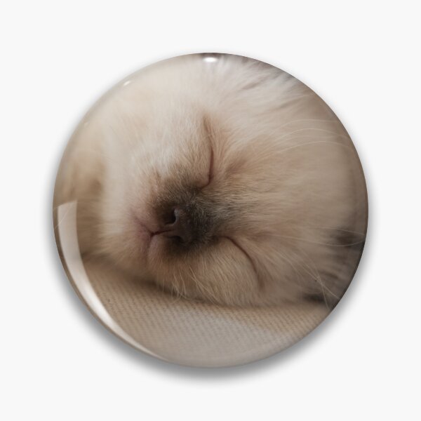 Item preview, SLEEPING KITTEN designed and sold by lindaully.