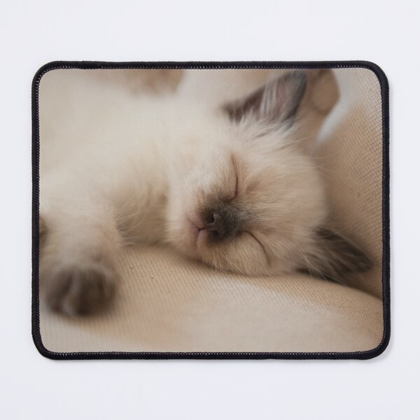 Item preview, SLEEPING KITTEN designed and sold by lindaully.