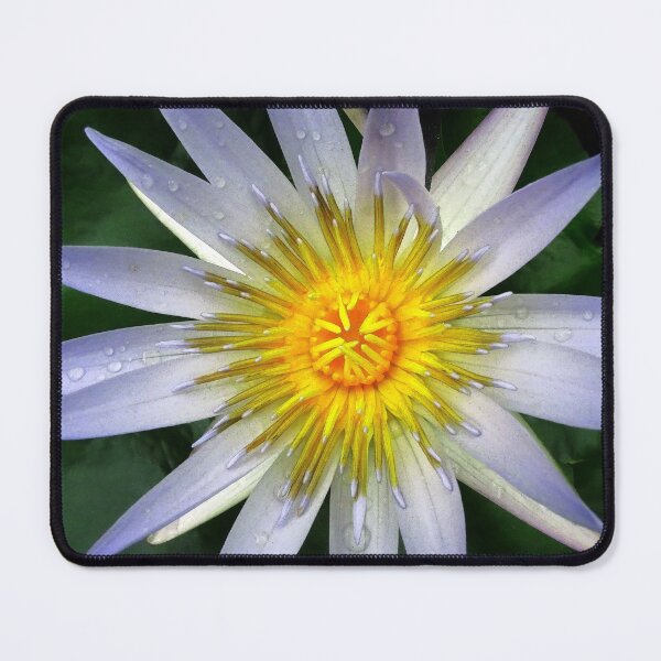 Item preview, Water Lillies & Lotuses #02 designed and sold by Jeffrey Mask.