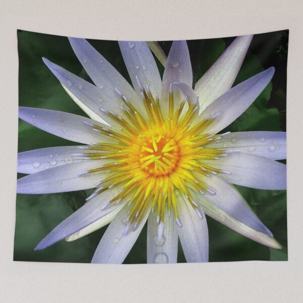 Item preview,  Water Lillies & Lotuses #02 designed and sold by Jeffrey Mask.