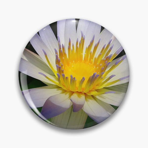 Item preview, Water Lilly, Purple, White and Yellow designed and sold by Jeffrey Mask.