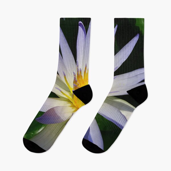 Item preview, Water Lilly, Purple, White and Yellow designed and sold by Jeffrey Mask.