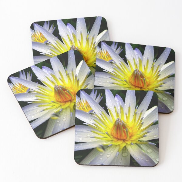 Item preview, Water Lillies & Lotuses #05 designed and sold by Jeffrey Mask.