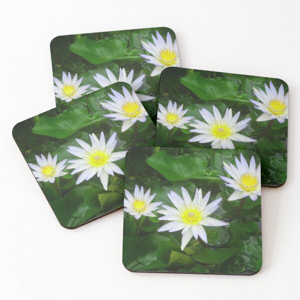 Item preview, Water Lilly, White & Yellow designed and sold by Jeffrey Mask.