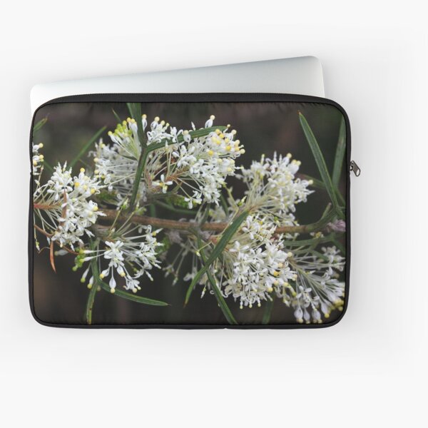 Grevillea triloba Laptop Sleeve