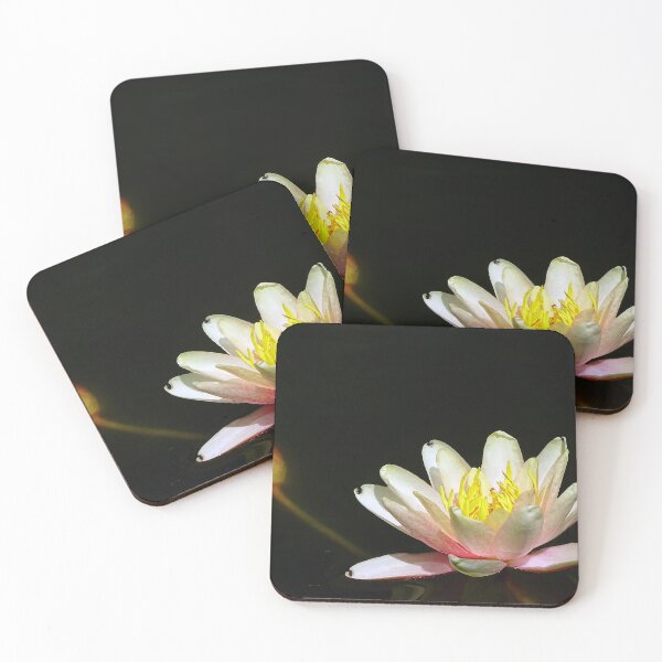 Item preview, Water Lillies & Lotuses #07 designed and sold by Jeffrey Mask.