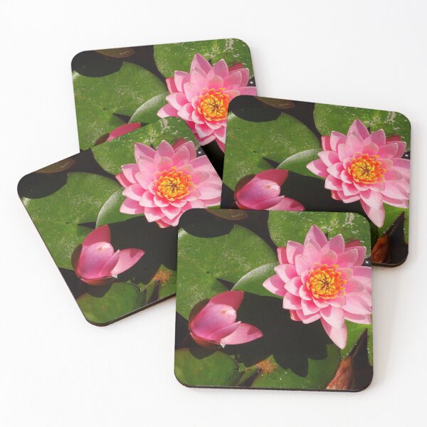 Item preview, Water Lillies & Lotuses #08 designed and sold by Jeffrey Mask.
