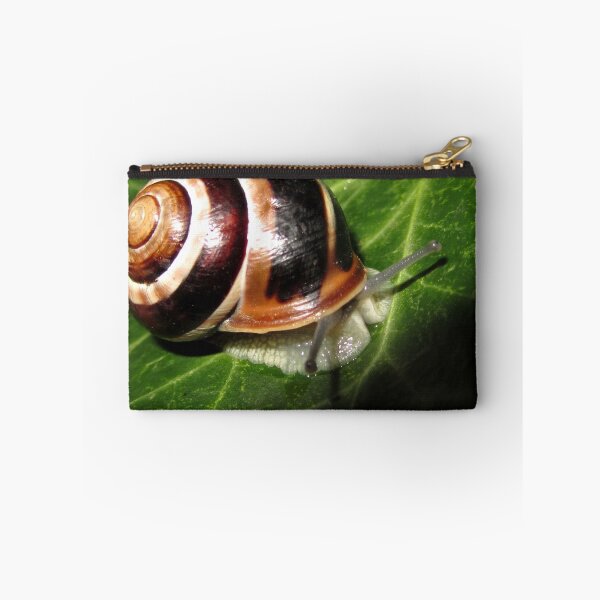 Item preview, snail designed and sold by Enri-Art.