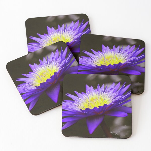 Item preview, Water Lillies & Lotuses #10 designed and sold by Jeffrey Mask.