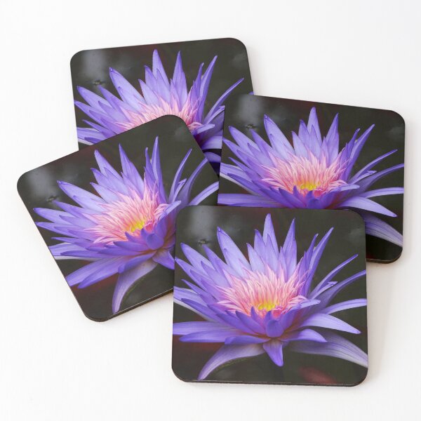 Item preview, Water Lillies & Lotuses #12 designed and sold by Jeffrey Mask.