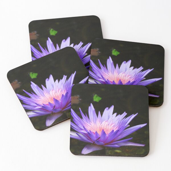 Item preview, Water Lillies & Lotuses #13 designed and sold by Jeffrey Mask.
