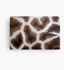 giraffe skin Canvas Print
