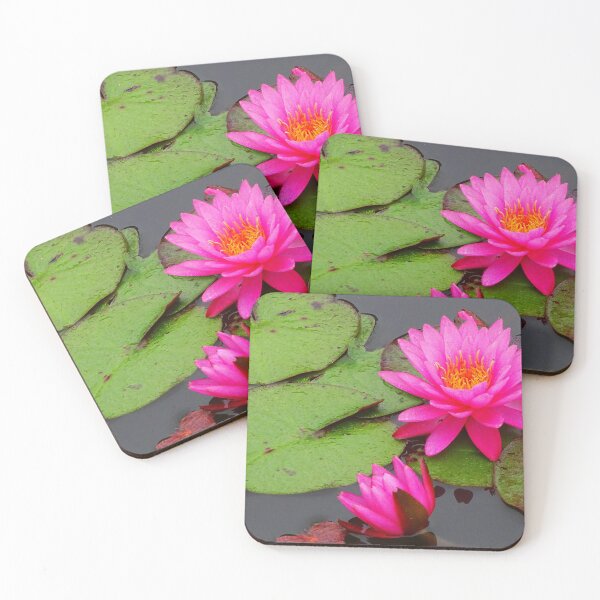 Item preview, Water Lillies & Lotuses #11 designed and sold by Jeffrey Mask.