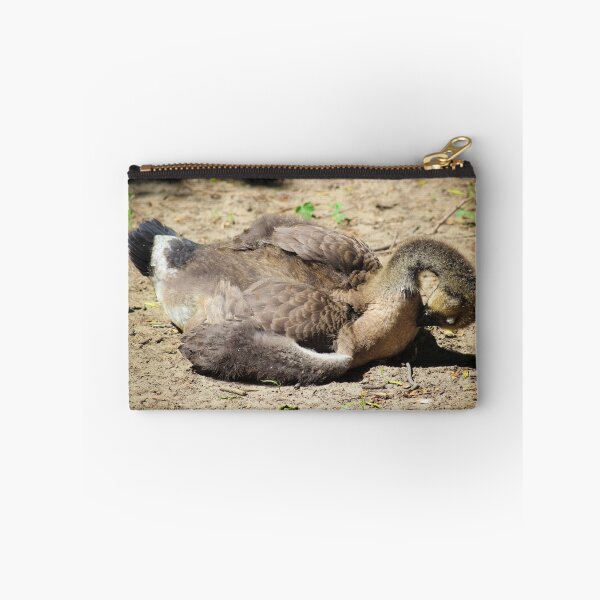 Item preview, Gosling At Rest designed and sold by Christy Patino.