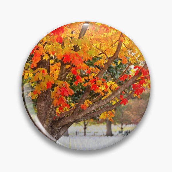 Item preview, Arlington National Cemetery in Autumn designed and sold by Leslie Banks.