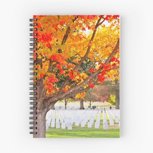 Item preview, Arlington National Cemetery in Autumn designed and sold by Leslie Banks.
