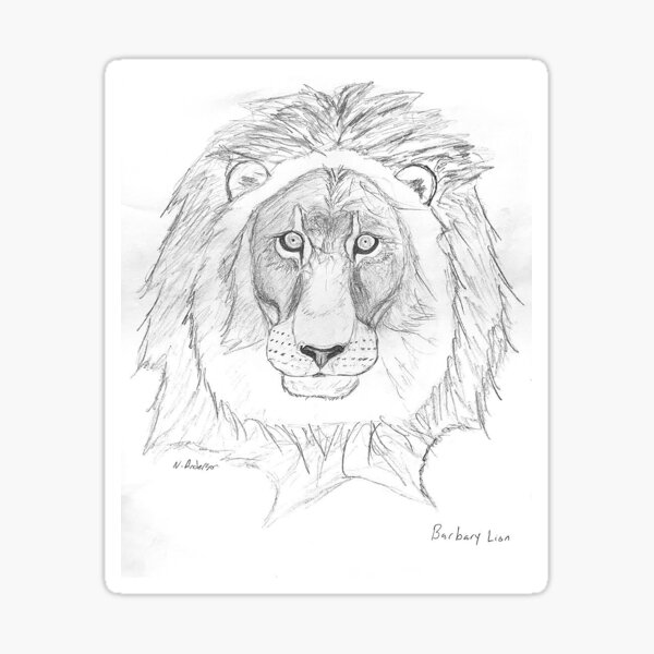 Lion Drawing Art Print by DIGITAL_AI - Fy