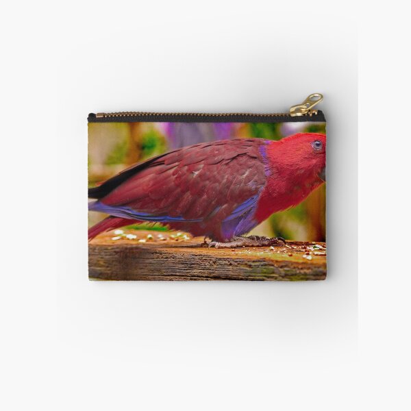Item preview, Eclectus Parrot designed and sold by Phil Thomson.