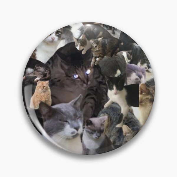 Artikelvorschau, Collage von College-Katzen entworfen und verkauft von CampusCatCo.