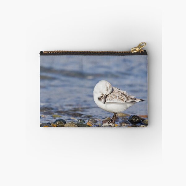 Item preview, Grooming Sanderling designed and sold by Tom Talbott.