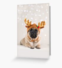 Weihnachts-Mops Grußkarte