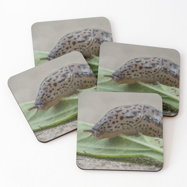 Item preview, Slug Crawls Over a Leaf designed and sold by Bill Spengler's Photographic Thoughts.