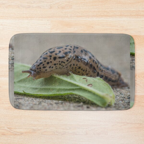 Item preview, Slug Crawls Over a Leaf designed and sold by Bill Spengler's Photographic Thoughts.