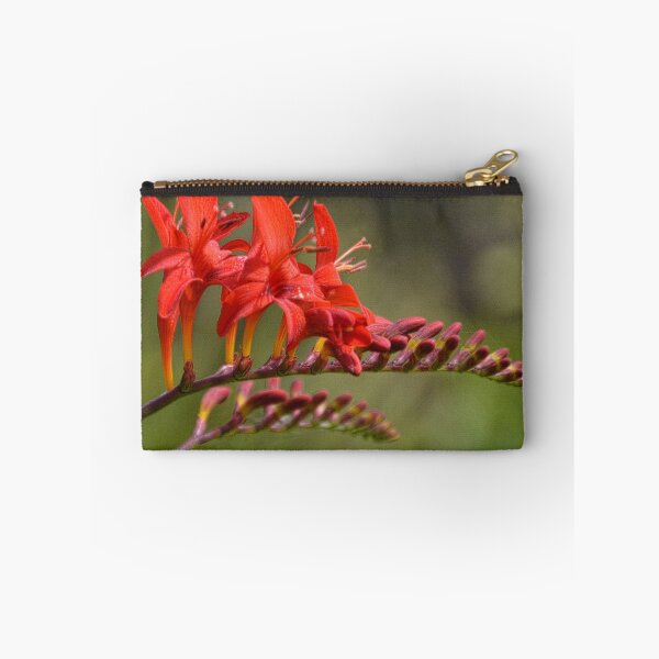 Item preview, Montbretia (Crocosmia Lucifer) designed and sold by lynn carter.