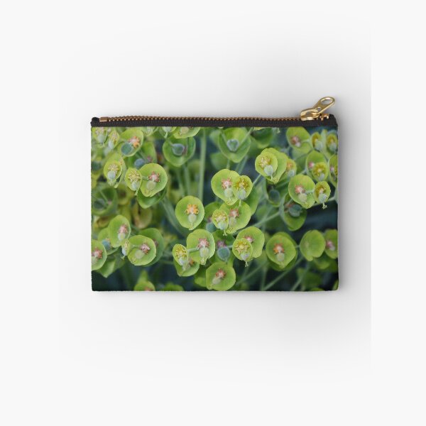 Item preview, Euphorbia Family designed and sold by AnnDixon.