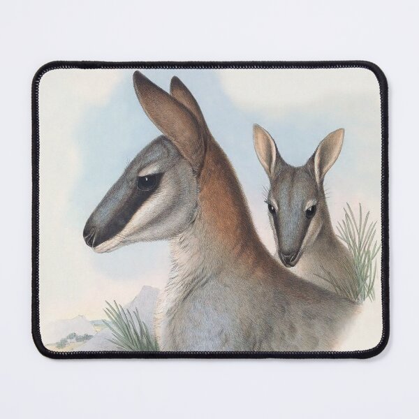Item preview, Toolache Wallaby (once identified as Halmaturus greyi) by Henry C. Richter designed and sold by TheCurators.