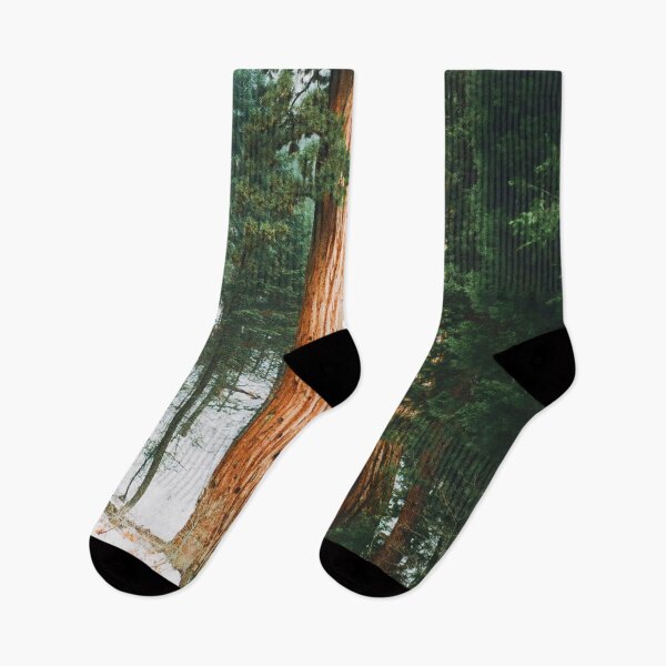 Item preview, Redwoods Trees | Sequoia Forest | Winter  designed and sold by iwaya-bazaar.