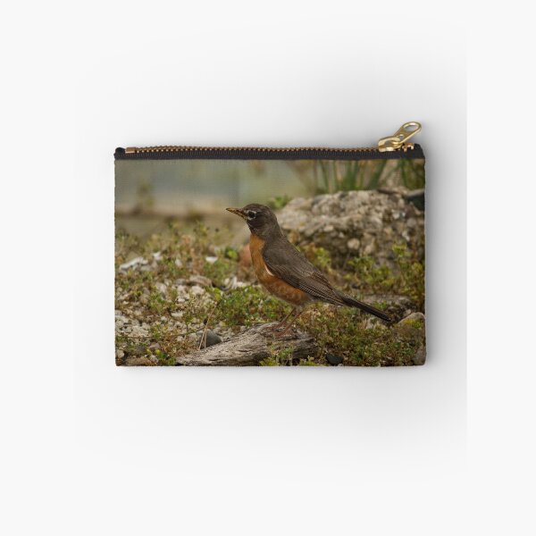 Item preview, Young Robin 2 designed and sold by njumer.