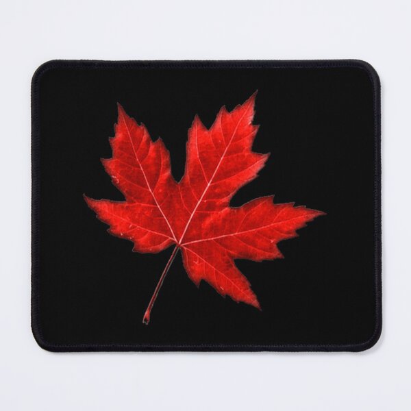 Item preview, red Maple Leaf stickers designed and sold by PAYSD.