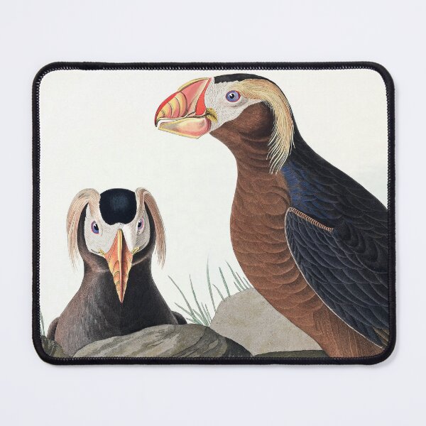 Item preview, Tufted Puffins by John James Audubon designed and sold by TheCurators.