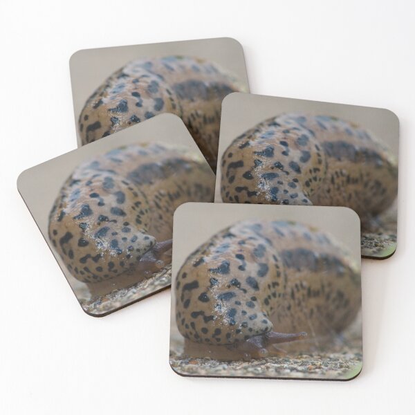 Item preview, Slimy Black Spotted Slug designed and sold by Bill Spengler's Photographic Thoughts.