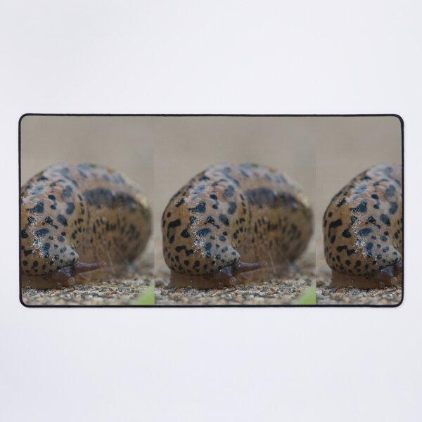 Item preview, Slimy Black Spotted Slug designed and sold by Bill Spengler's Photographic Thoughts.