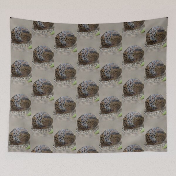 Item preview, Slimy Black Spotted Slug designed and sold by Bill Spengler's Photographic Thoughts.