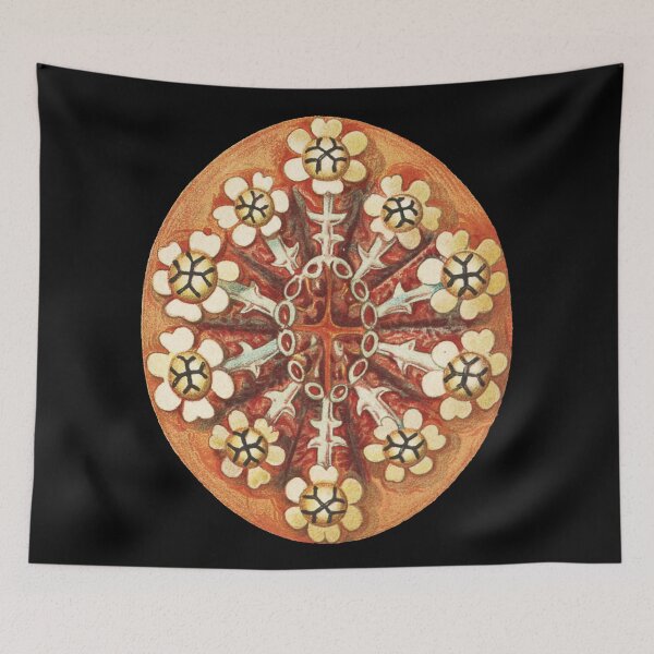 Item preview, Vintage Tunicate Chordate Subphylum designed and sold by digitalvintage.