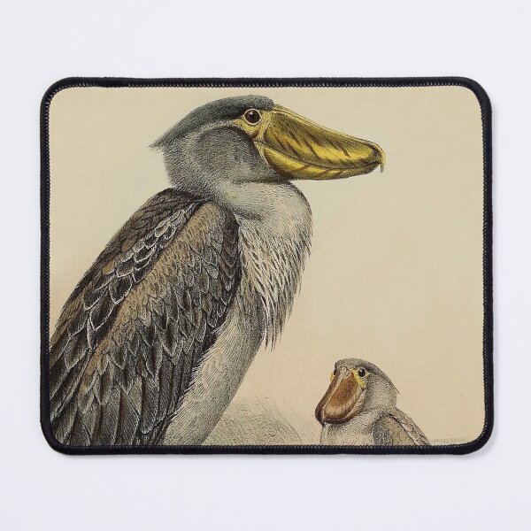 Item preview, Shoebills by J. Wolf for Zoological Society of London designed and sold by TheCurators.