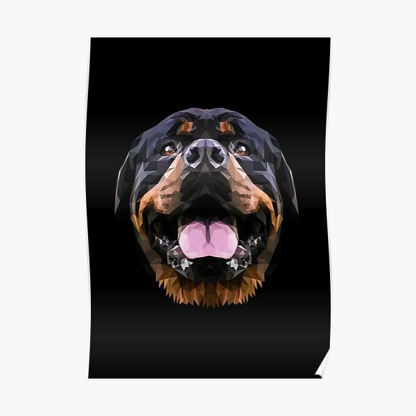 Rottweiler dog low poly. Poster