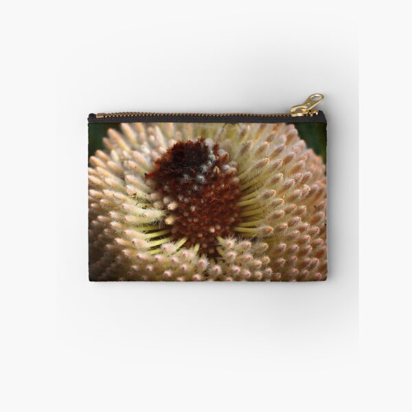 Item preview, Banksia hookeriana designed and sold by andrachne.