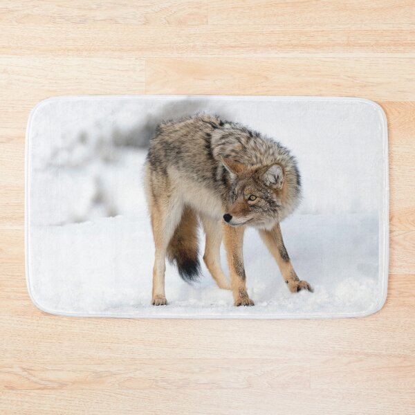 Item preview, Coyote in Winter designed and sold by TheCurators.