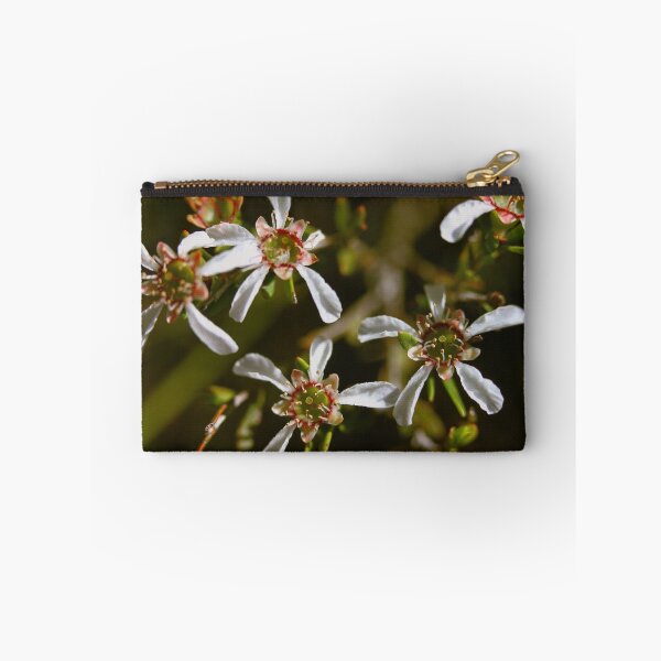 Item preview, Leptospermum semibaccatum  designed and sold by andrachne.