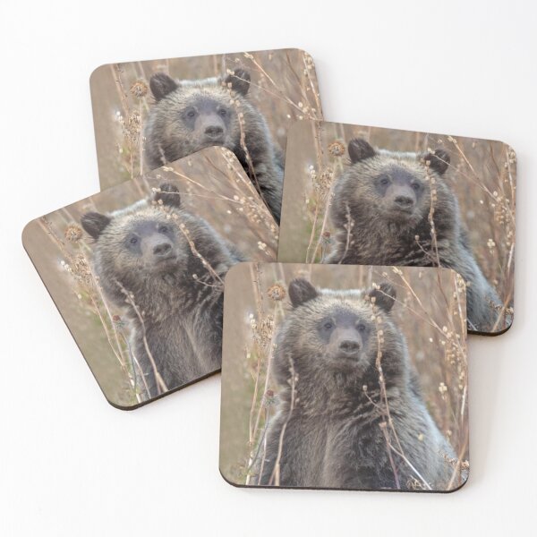 Artikelvorschau, Stehendes Grizzlybärenjunges entworfen und verkauft von TheCurators.