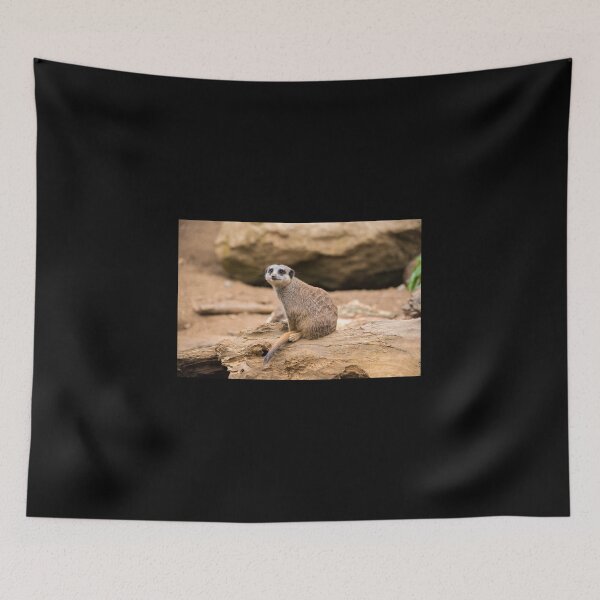 Item preview, Meerkat on a rock designed and sold by Graphics By Craig.