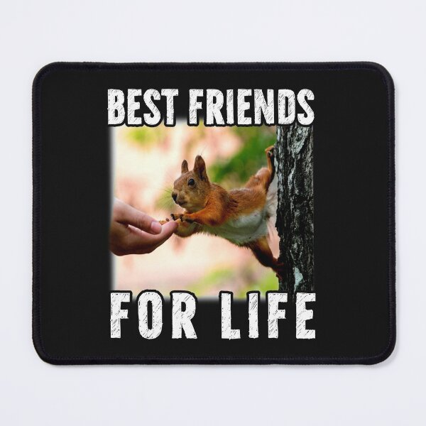 Item preview, Squirrel Best Friend For Life designed and sold by reginaturner.
