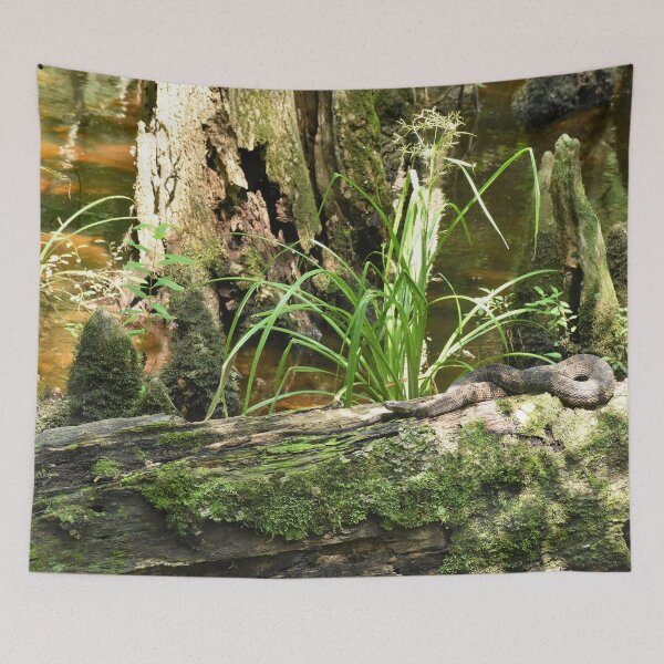 Item preview, Brown Water Snake Print designed and sold by Paul-Prints.