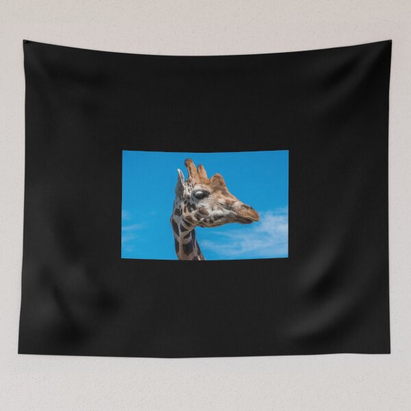 Item preview, Close up photo of a Rothschild Giraffe head designed and sold by Graphics By Craig.