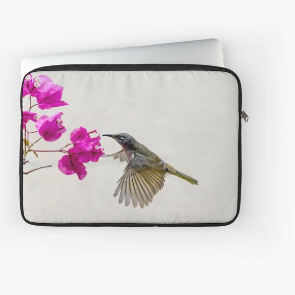 Item preview, Honeyeater  2 designed and sold by John Van Den Broeke.